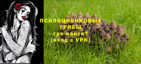 молекула духа Алексин