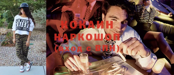 молекула духа Алексин