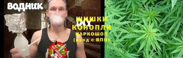 не бодяженный Алзамай