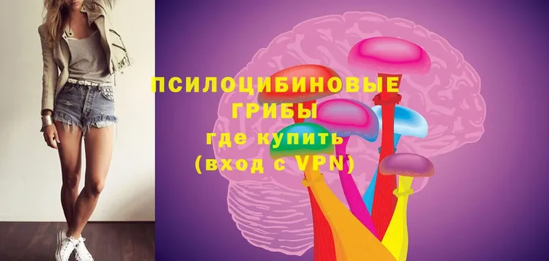 Галлюциногенные грибы Cubensis Валдай