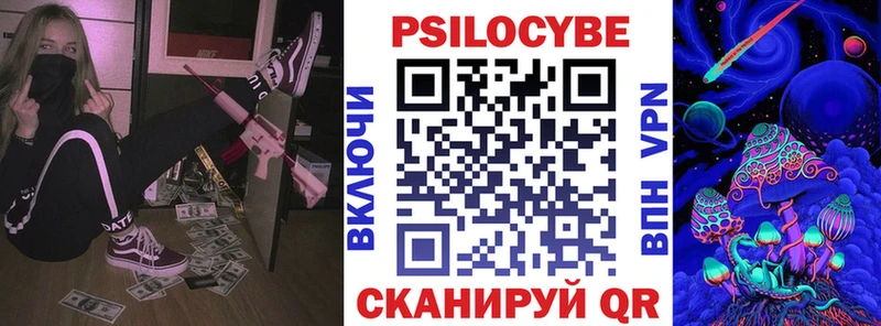 Галлюциногенные грибы Psilocybe  продажа наркотиков  Валдай 