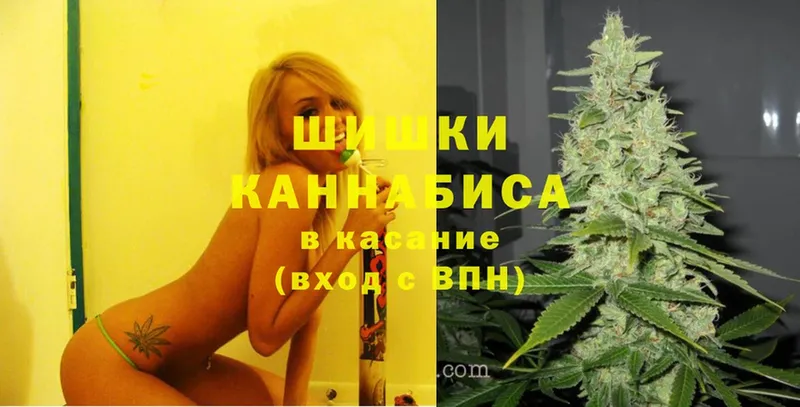 Канабис OG Kush  Валдай 